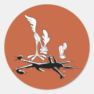 ROAD RUNNER™とWILE E. COYOTE™形状の穴 ラウンドシール