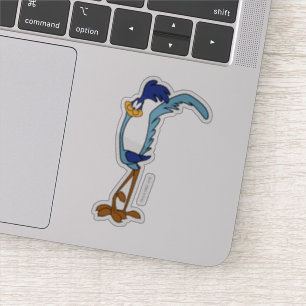 ROAD RUNNER™カラー シール