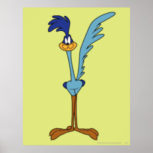ROAD RUNNER™カラー ポスター