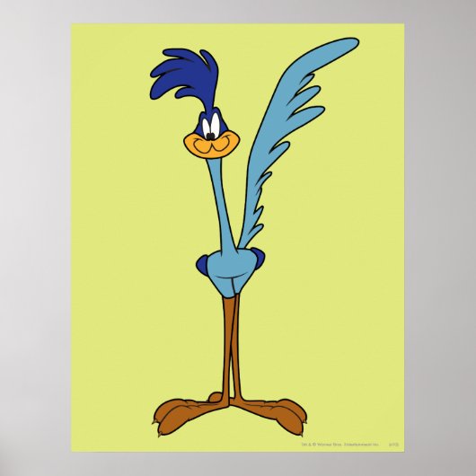 ROAD RUNNER™カラー ポスター (正面)