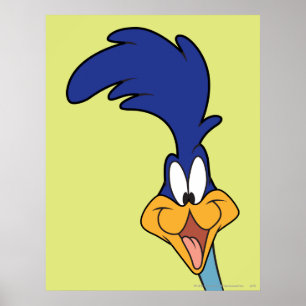 ROAD RUNNER™ Face ポスター