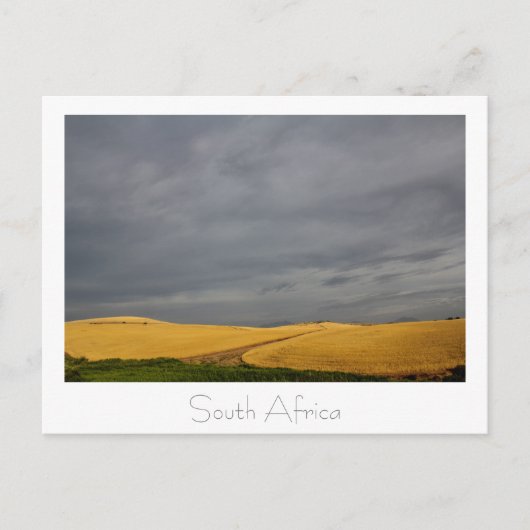 Road South Africa Landscapeはがき ポストカード (正面)