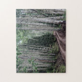 Road Through The Birch ジグソーパズル (縦)
