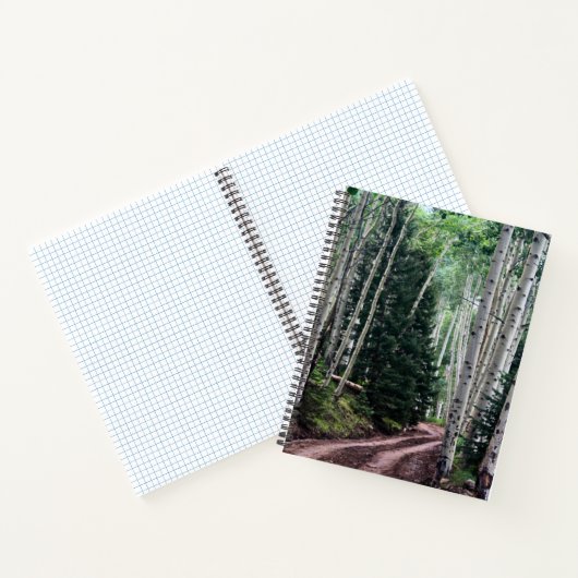Road Through The Birch ノートブック (内部)