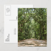 Road To Angel Oakはがき ポストカード (正面/裏面)