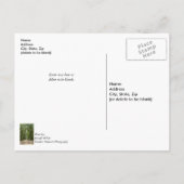 Road To Angel Oakはがき ポストカード (裏面)