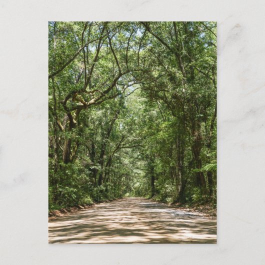 Road To Angel Oakはがき ポストカード (正面)