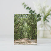 Road To Angel Oakはがき ポストカード (スタンド正面)