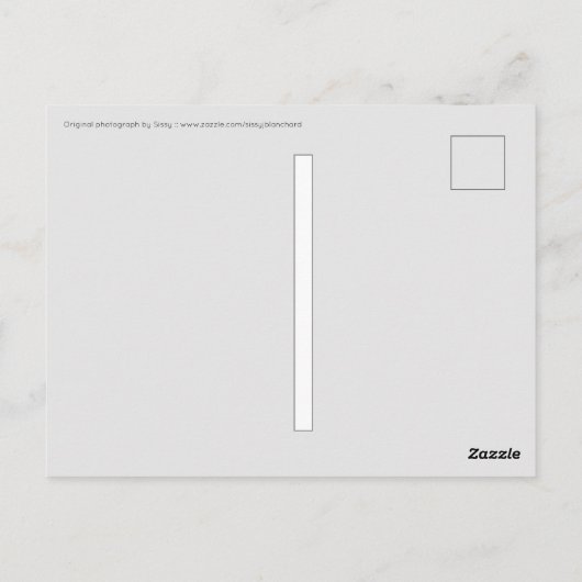 Road to Nowhereはがき ポストカード (裏面)