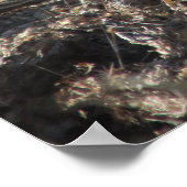 Roadrunnerポスター ポスター (角)