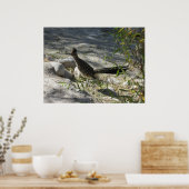 Roadrunnerポスター ポスター (キッチン)