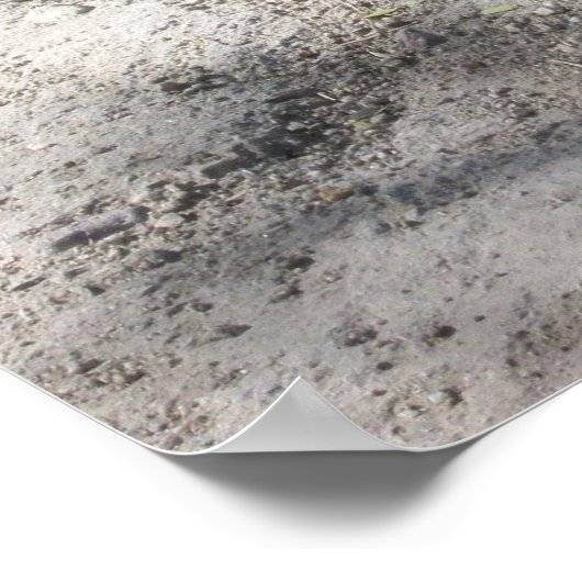 Roadrunnerポスター ポスター (角)