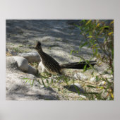 Roadrunnerポスター ポスター (正面)