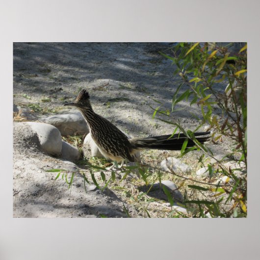 Roadrunnerポスター ポスター (正面)