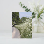 Roadside Hedgerow Herefordshire ポストカード (スタンド正面)