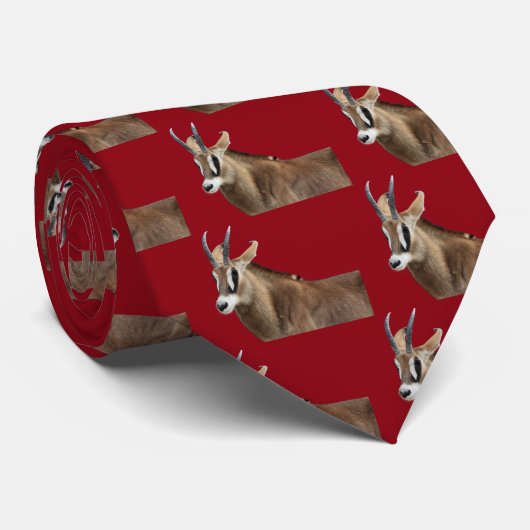 Roan Antelope ネクタイ (ロール)