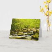 Roaring Fork春 カード (黄色い花)
