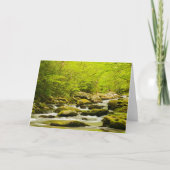 Roaring Fork春 カード (正面)