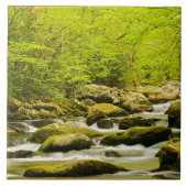 Roaring Fork in Spring タイル (正面)