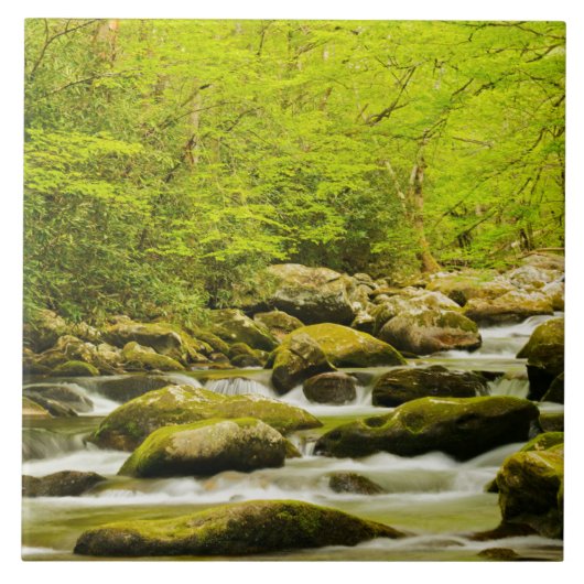 Roaring Fork in Spring タイル (正面)