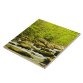 Roaring Fork in Spring タイル (側面)