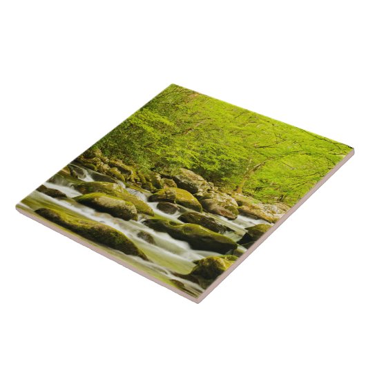 Roaring Fork in Spring タイル (側面)