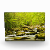 Roaring Fork in Spring フォトブロック (正面)