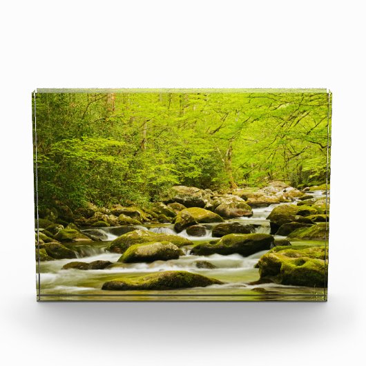 Roaring Fork in Spring フォトブロック (正面)