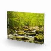 Roaring Fork in Spring フォトブロック (右)