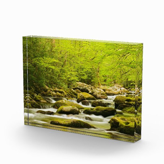 Roaring Fork in Spring フォトブロック (右)