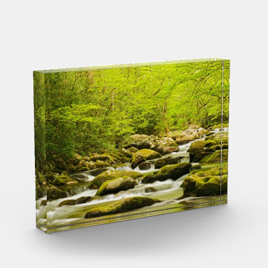 Roaring Fork in Spring フォトブロック (左)
