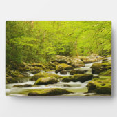 Roaring Fork in Spring フォトプラーク (正面)