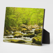 Roaring Fork in Spring フォトプラーク (側面)