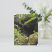 Roaring Forks Motor Trail - Gatlinburg, TN ポストカード (スタンド正面)