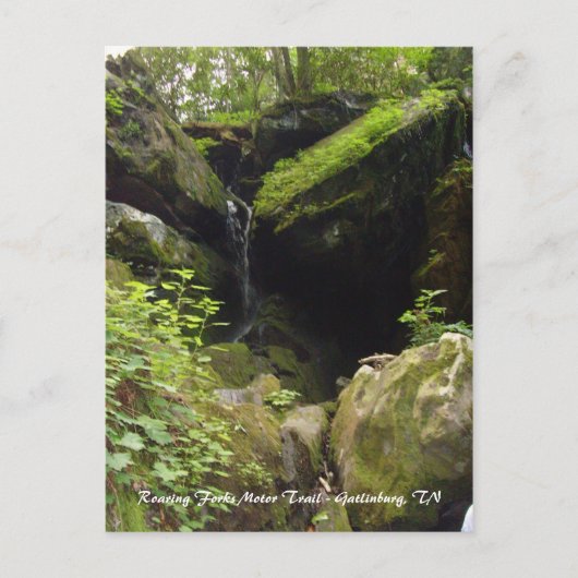 Roaring Forks Motor Trail - Gatlinburg, TN ポストカード (正面)