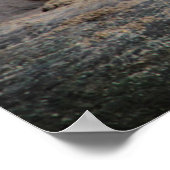 Roaring Tiger怒フォトポスター ポスター (角)