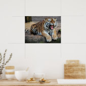Roaring Tiger怒フォトポスター ポスター (キッチン)
