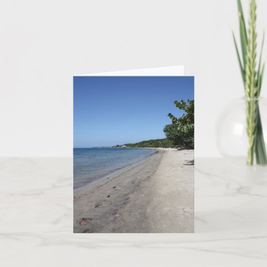 Roatan Notecardのビーチ カード (正面)