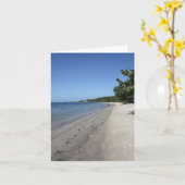 Roatan Notecardのビーチ カード (黄色い花)