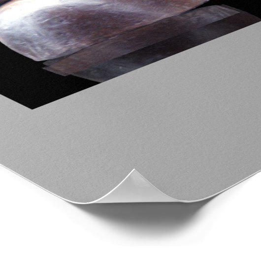 ROBBYとブル#2 ポスター (角)