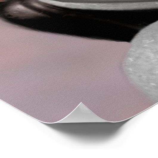 Robert E. Lee Poster ポスター (角)