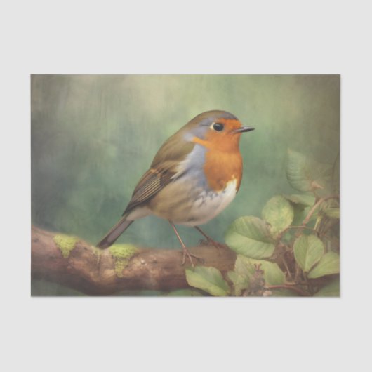 ROBINデコページ紙 薄葉紙 (正面)