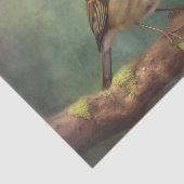 ROBINデコページ紙 薄葉紙 (詳細)