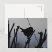 Robin  ポストカード (正面/裏面)