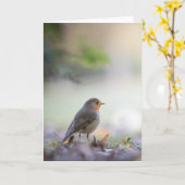 Robin Bird自然写真 カード (黄色い花)