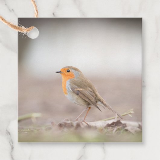 Robin Bird自然写真 フェイバータグ (正面)