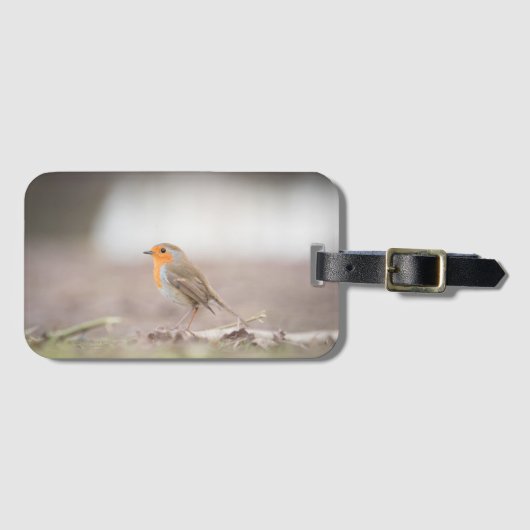 Robin Bird自然写真 ラゲッジタグ (正面横)