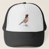 Robin Bird in Hat キャップ (正面)