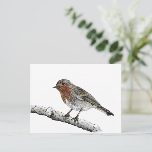 Robin Bird Sketchはがき ポストカード (スタンド正面)