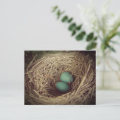 Robin Eggs in a Nest ポストカード (スタンド正面)
